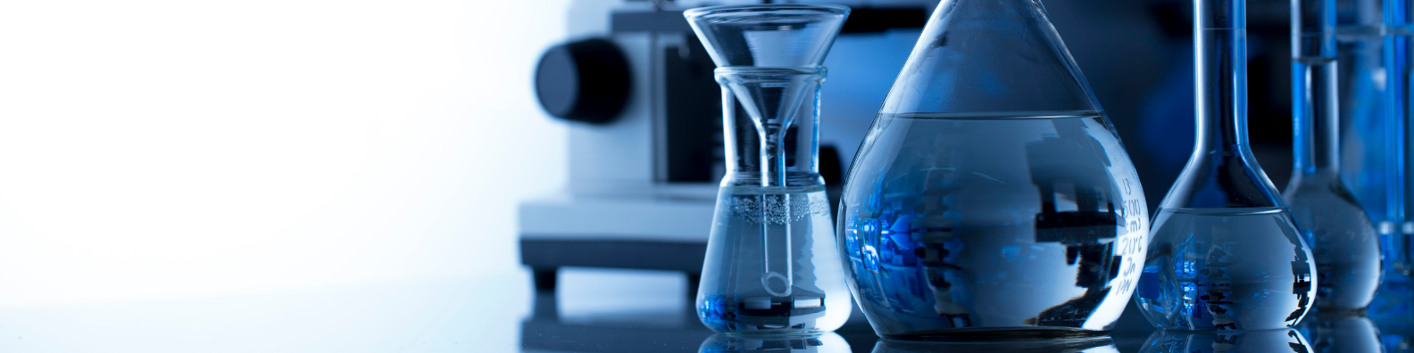 Max-Planck-Gesellschaft zur Förderung der Wissenschaften, [object Object], Brüssel