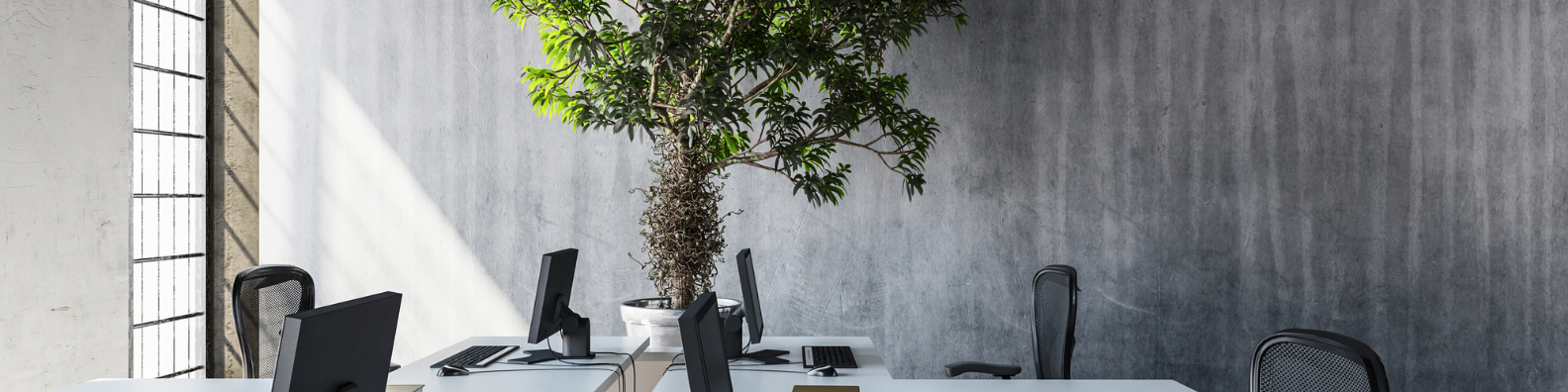 office
