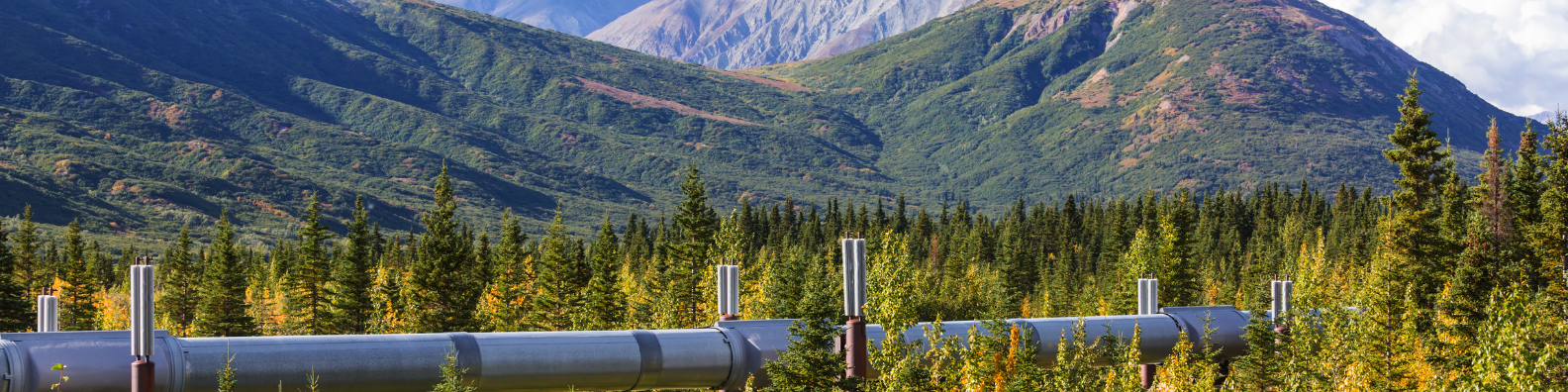 TAG, [object Object], Wien